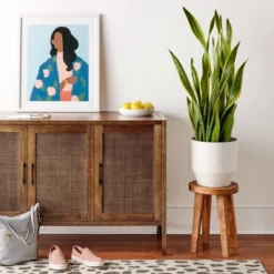 Warwick 3 Door Accent TV Stand For TVs Up To 59" - Threshold™ -Baxton Studio Store GUEST 123b3efd 6801 4e8a ac96 aab97207b6ff