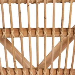 2pc Alleta Rattan Dining Chair Set Natural/Brown - Bali & Pari -Baxton Studio Store GUEST e1b2c9bb 03bf 4698 9bcd 511e9bbfcd41