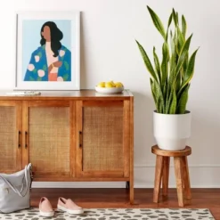 Warwick 3 Door Accent TV Stand For TVs Up To 59" - Threshold™ -Baxton Studio Store GUEST e451e7fa 67b5 4b15 9757 882fb09e0976